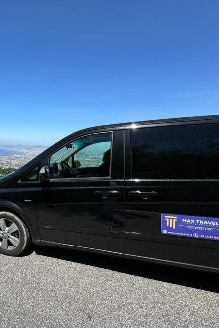 Pompeii From Napoli: Transfer + Entry Ticket + Guided Tour - Inclusions of the Package