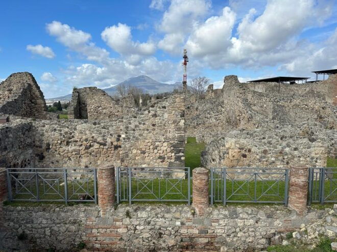 Pompeii From Sorrento: Transfer + Entry Ticket + Guided Tour - Participant Information