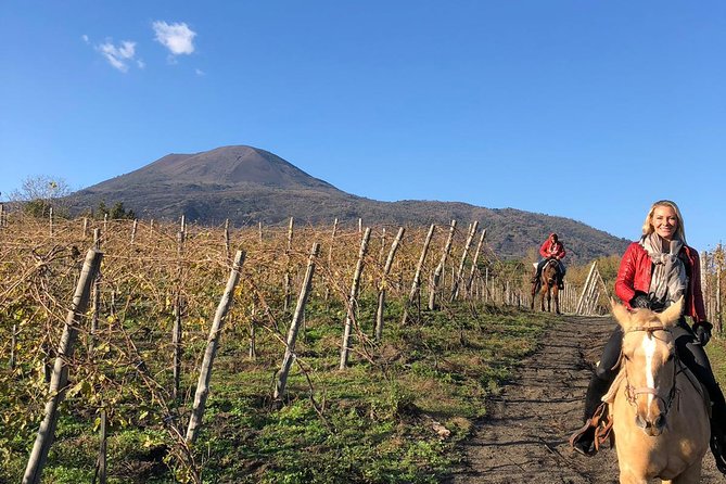 Pompeii Guided Tour & Horse Riding on Vesuvius With Wine Tasting - Visitor Reviews and Ratings