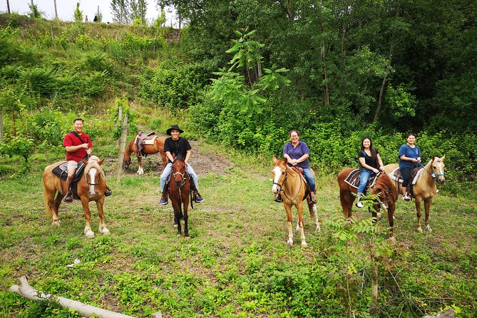 Pompeii Guided Tour & Horse Riding on Vesuvius With Wine Tasting - Location and Directions