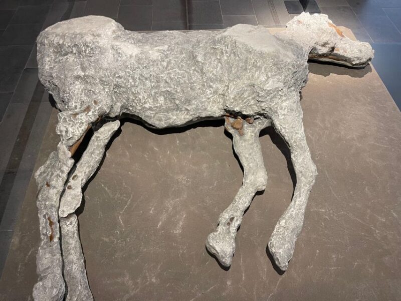 Pompeii Guided Tour Skip the line - Good To Know