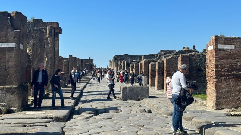 Pompeii Guided Tour with Skip the Line Entry - Good To Know