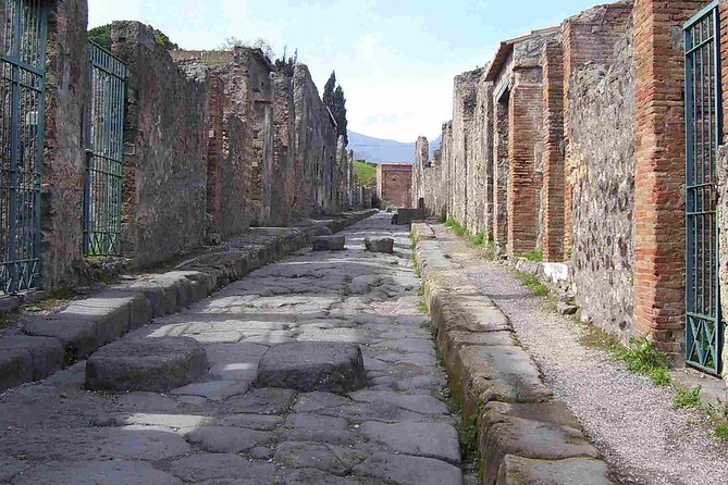 Pompeii Guided Walking Tour With Included Entrance at Pompeii Ruins - Tour Highlights