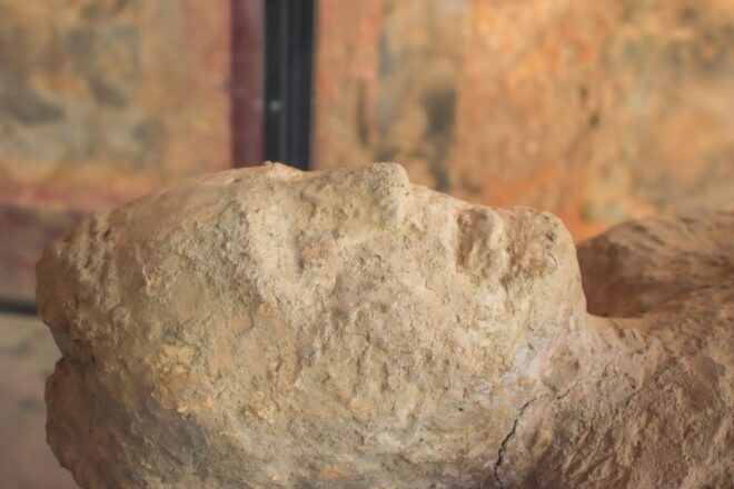 Pompeii Half Day Guided Tour - Skip the Line - Booking Process