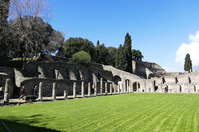 Pompeii Half-Day Trip From Naples - Customer Reviews and Feedback