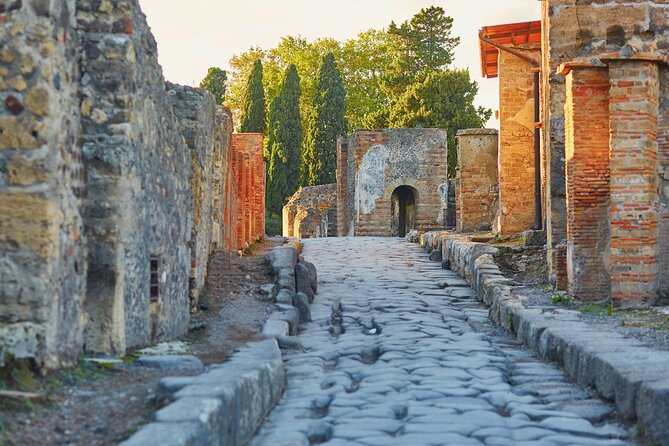 Pompeii, Herculaneum and Mount Vesuvius Private Tour From Naples - Good To Know