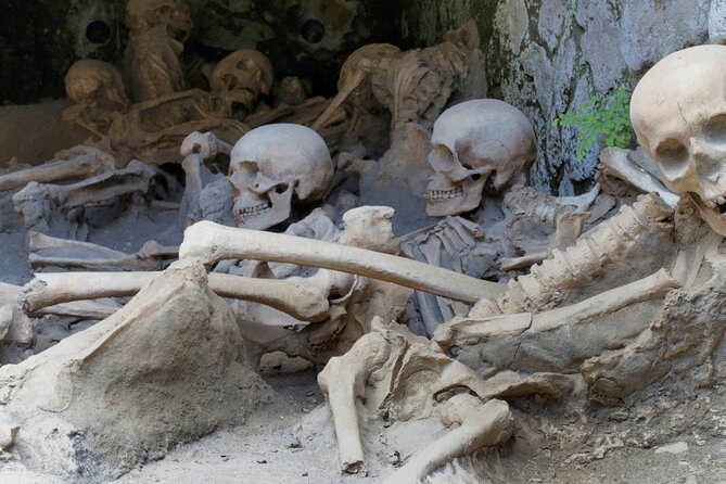 Pompeii, Herculaneum and Mount Vesuvius Private Tour From Naples - Likely to Sell Out