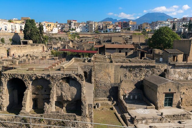 Pompeii, Herculaneum and Mount Vesuvius Private Tour From Naples - Booking Process