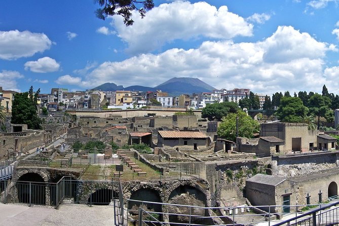Pompeii, Herculaneum and Naples From Sorrento - Inclusions and Exclusions