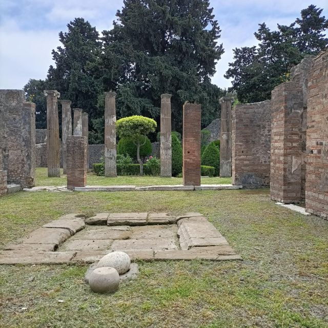 Pompeii Herculaneum and Oplontis With the Guide From Naples - Tour Highlights