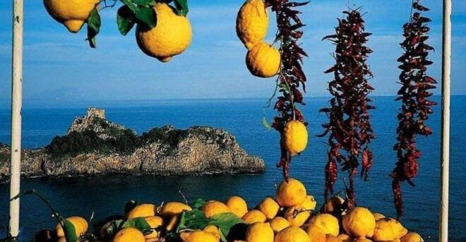 Pompeii, Herculaneum and Sorrento Private Day Tour From Rome - Booking Information