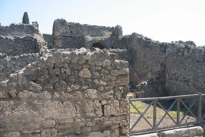 Pompeii-Herculaneum and The Archaeological Museum - Historical Significance of Pompeii-Herculaneum