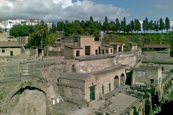 Pompeii, Herculaneum and Vesuvius Private Guided Tour - Customer Reviews