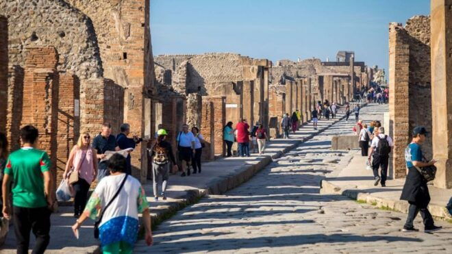 Pompeii, Herculaneum and Vesuvius Private Tour - Inclusions