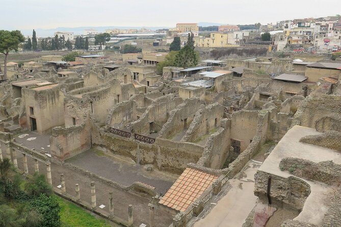 Pompeii, Herculaneum and Vesuvius - Private Tour - Overview