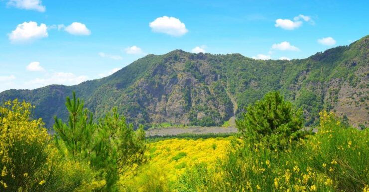 Pompeii, Herculaneum and Vesuvius Tour - Booking Information