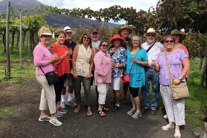 Pompeii, Herculaneum and Wine Experience on Mt Vesuvius With an Archaeologist - The Sum Up