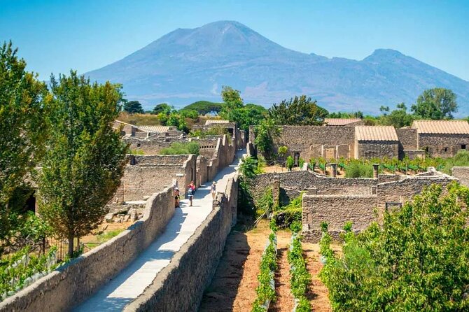 Pompeii, Herculaneum and Wine Tasting From Naples - Culinary Delights