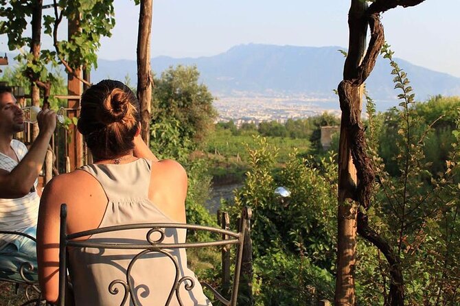Pompeii, Herculaneum and Wine Tasting From Naples - Visitor Guidelines