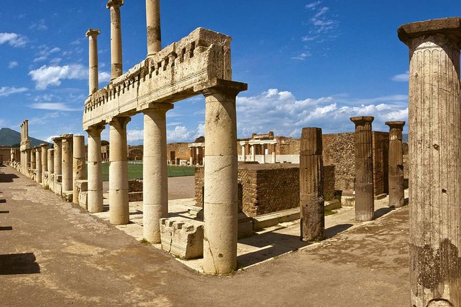 Pompeii & Herculaneum Archaeological Park Tour - Accessibility Information