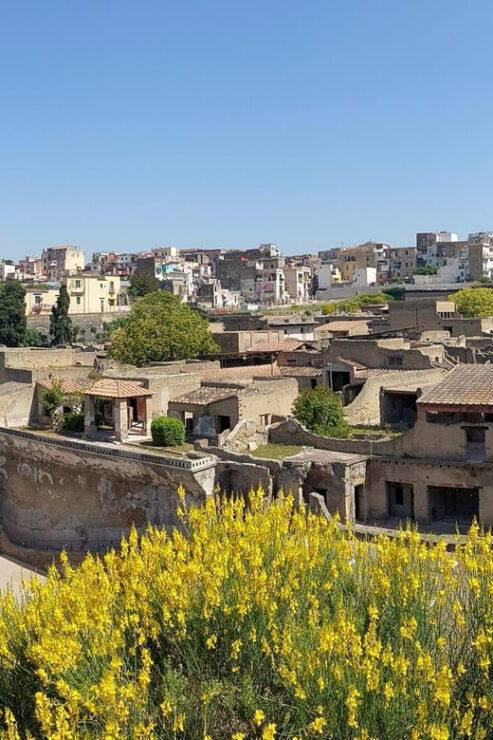 Pompeii & Herculaneum From Positano or Sorrento - Itinerary Details