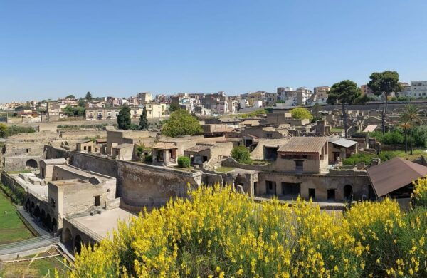 Pompeii & Herculaneum From Positano or Sorrento - Preparing for Your Tour