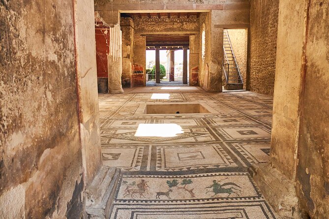 Pompeii, Herculaneum & Mt Vesuvius Private Tour From Naples - Tour Highlights