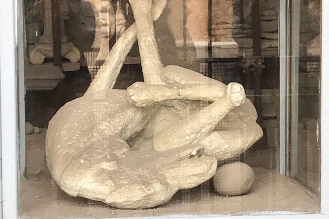 Pompeii Herculaneum Oplontis From Naples - Reservation and Cancellation Policy