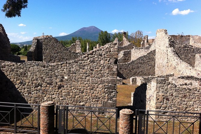 Pompeii & Herculaneum Private Full Day Trip From Naples - Frequently Asked Questions