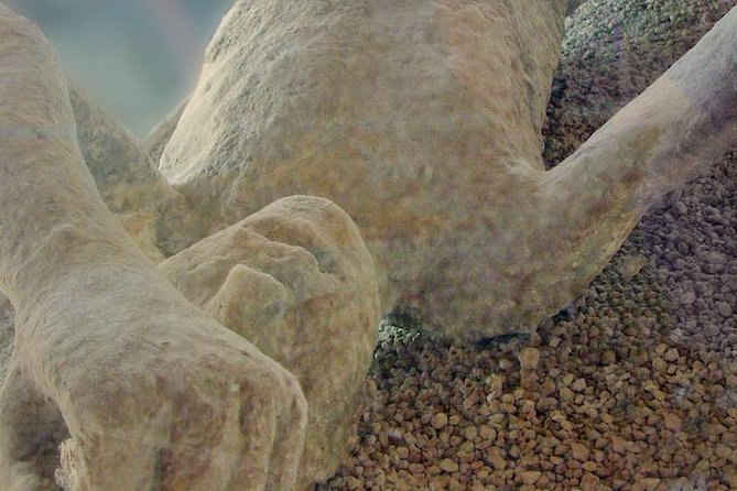 Pompeii & Herculaneum - Skip the Line From Sorrento - Tour Highlights