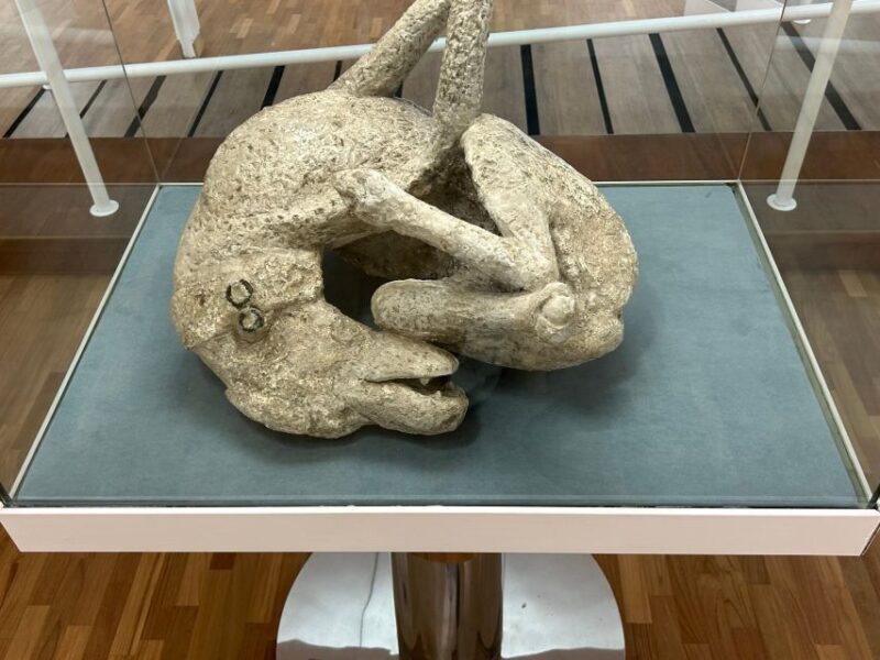 Pompeii in 2h and 30mnt: walk with local guide - Group Size and Guides