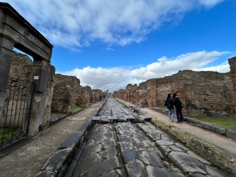 Pompeii in 2h and 30mnt: walk with local guide - Accessibility and Practicalities