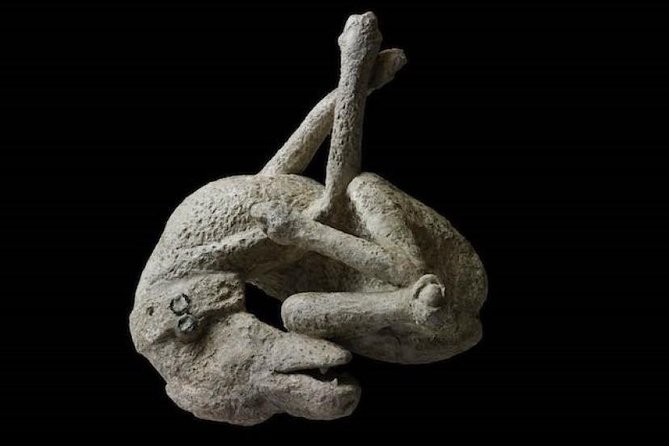 Pompeii: Living With the Volcano - Historical Background