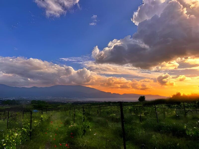 Pompeii: Mount Vesuvius Night Horseback Ride and Italian BBQ - Booking Information and Cancellation Policy