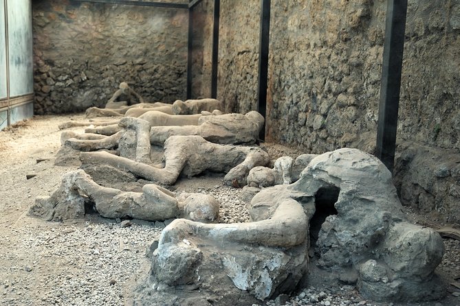 Pompeii, Mt. Vesuvius, Herculaneum Private Tour - Tour Overview