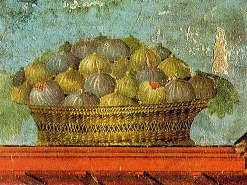 Pompeii: Oplontis Small Group Tour with an Archaeologist - Exploring the Oplontis Experience in Depth