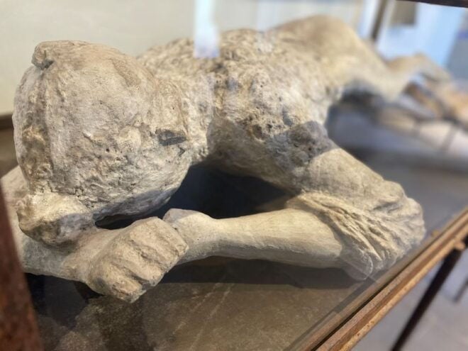 Pompeii: Pompeii & Herculaneum Private Guided Tour - Pompeii