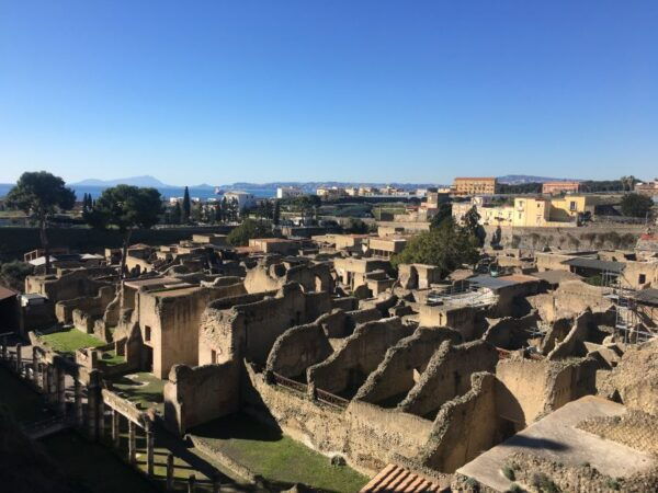 Pompeii: Pompeii & Herculaneum Private Guided Tour - Common Questions