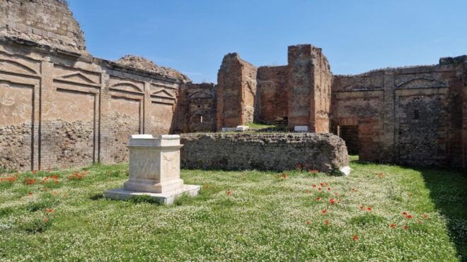 Pompeii, Positano and Amalfi Coast Private Day From Rome - Booking Information