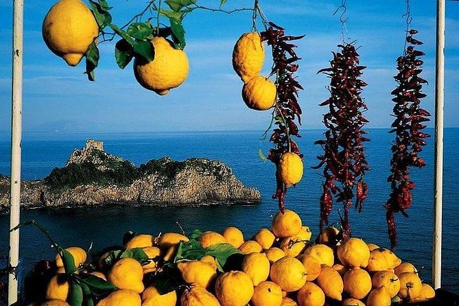 Pompeii, Positano and Amalfi Coast Private Day Tour From Rome - Scenic Views and Photo Opportunities