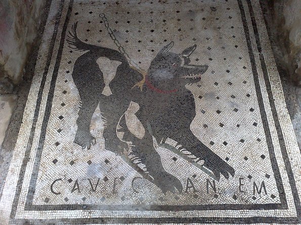 Pompeii Positano and Sorrento Shared Excursion With Pompeii Skip the Line Entry - Meeting and Pickup Details