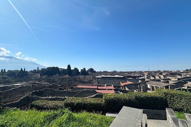 Pompeii Private Guided Tour - Cancellation Policy