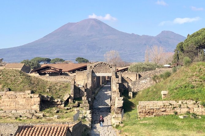 Pompeii Private Guided Tour Skip the Line - Highlights of Pompeii Private Guided Tour