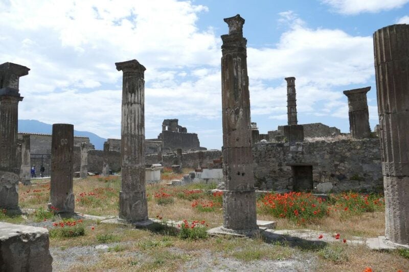 Pompeii Private Guided Tour with Lunch - The Lunch Experience: Authentic and Scenic