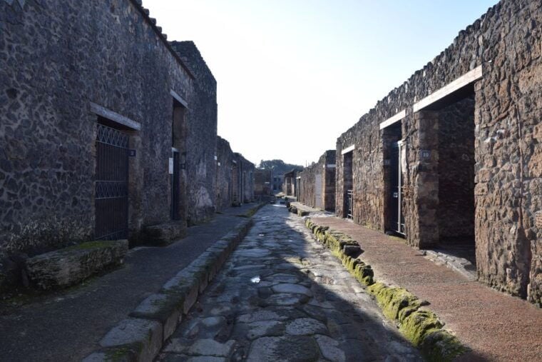Pompeii Private Guided Tour with Lunch - Who Should Consider This Tour?