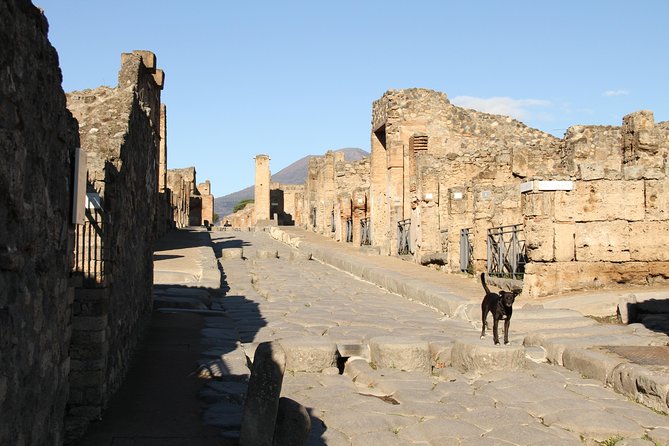 Pompeii Private Tour - Frequently Asked Questions
