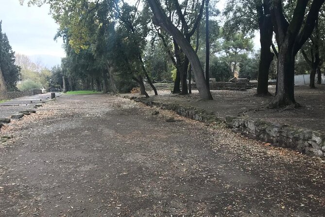 Pompeii - Private Tour - Traveler Photos