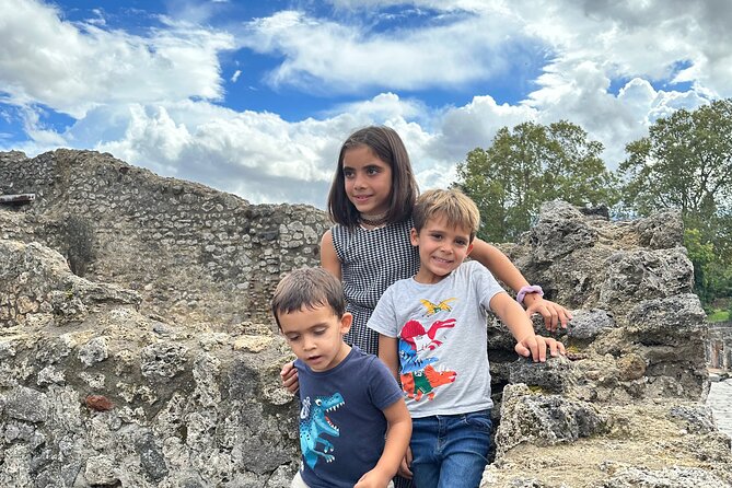 Pompeii Private Tour From Naples Cruise, Port or Hotel Pick-Up - Importance of Customer Reviews