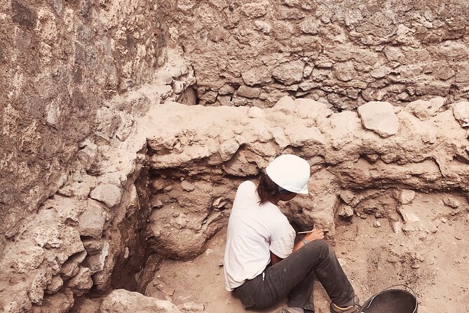 Pompeii Private Tour With an Archaeologist and Skip the Line - Reviews and Ratings