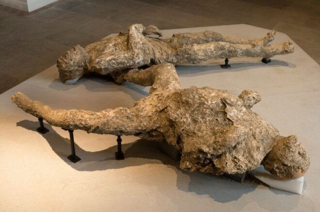 Pompeii: Private Tour With Hotel Pickup and Entry Ticket - Frequently Asked Questions